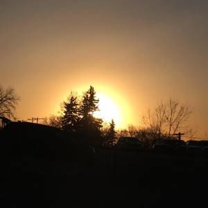 Meet your Posher, Thomas